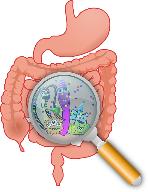 gluten multiple sclerosis leaky gut