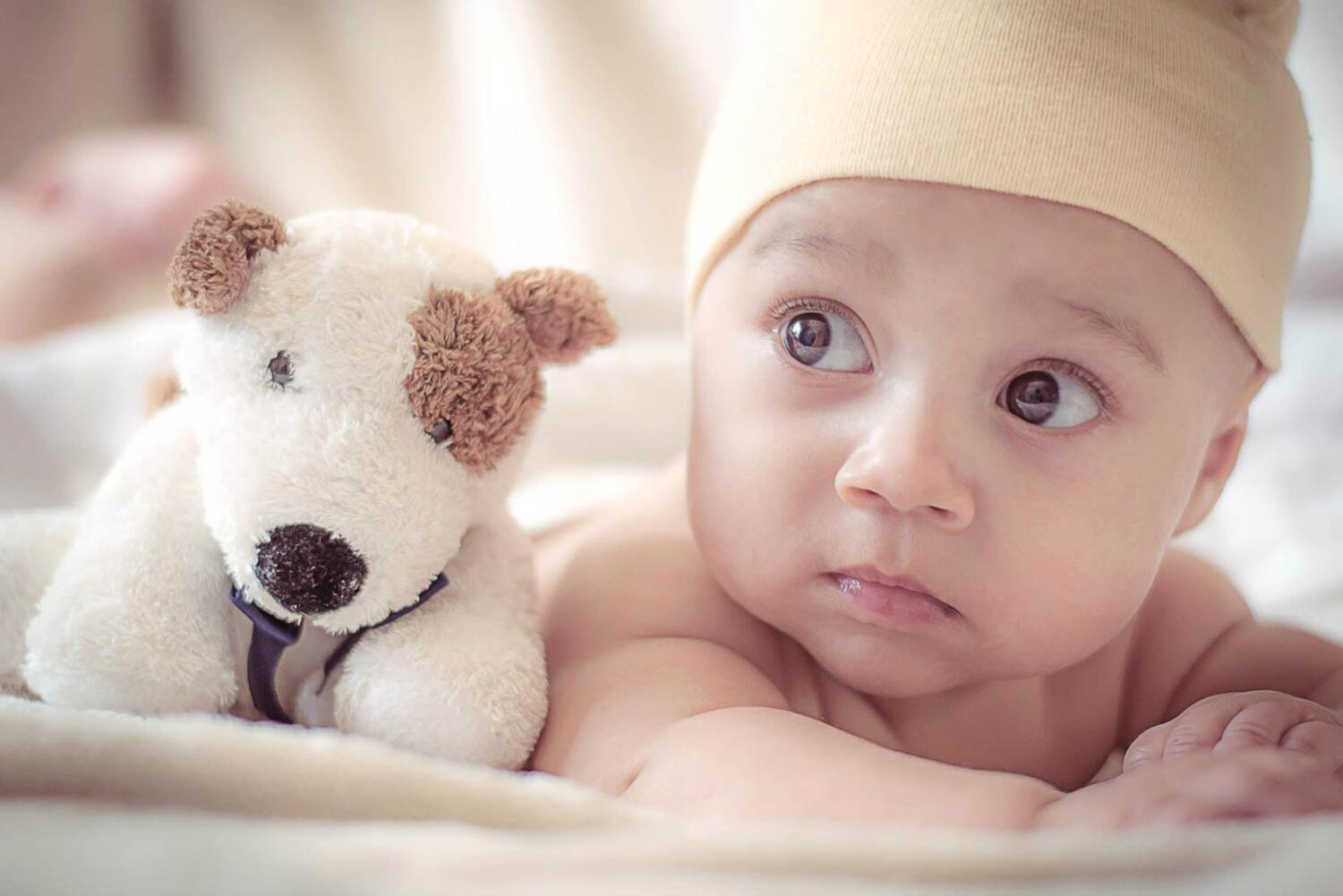 Newborn baby looking to the side with stuffed dog toy