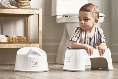 Differences Between Babybjorn Potty Vs Smart Potty