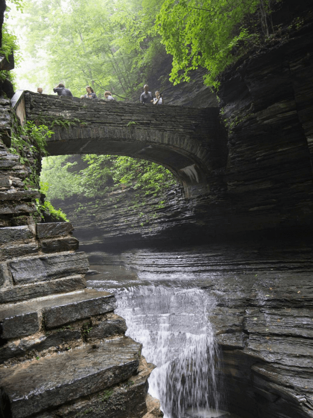 24 Fun Activities in the Finger Lakes In 2022 Story