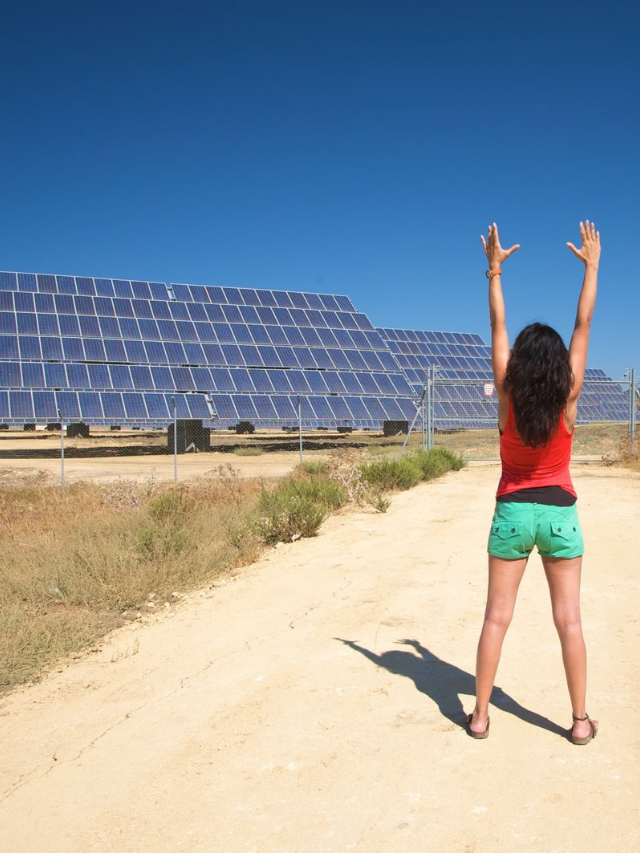 Investing in Solar: Ways to Make Money from Solar Farms This Year
