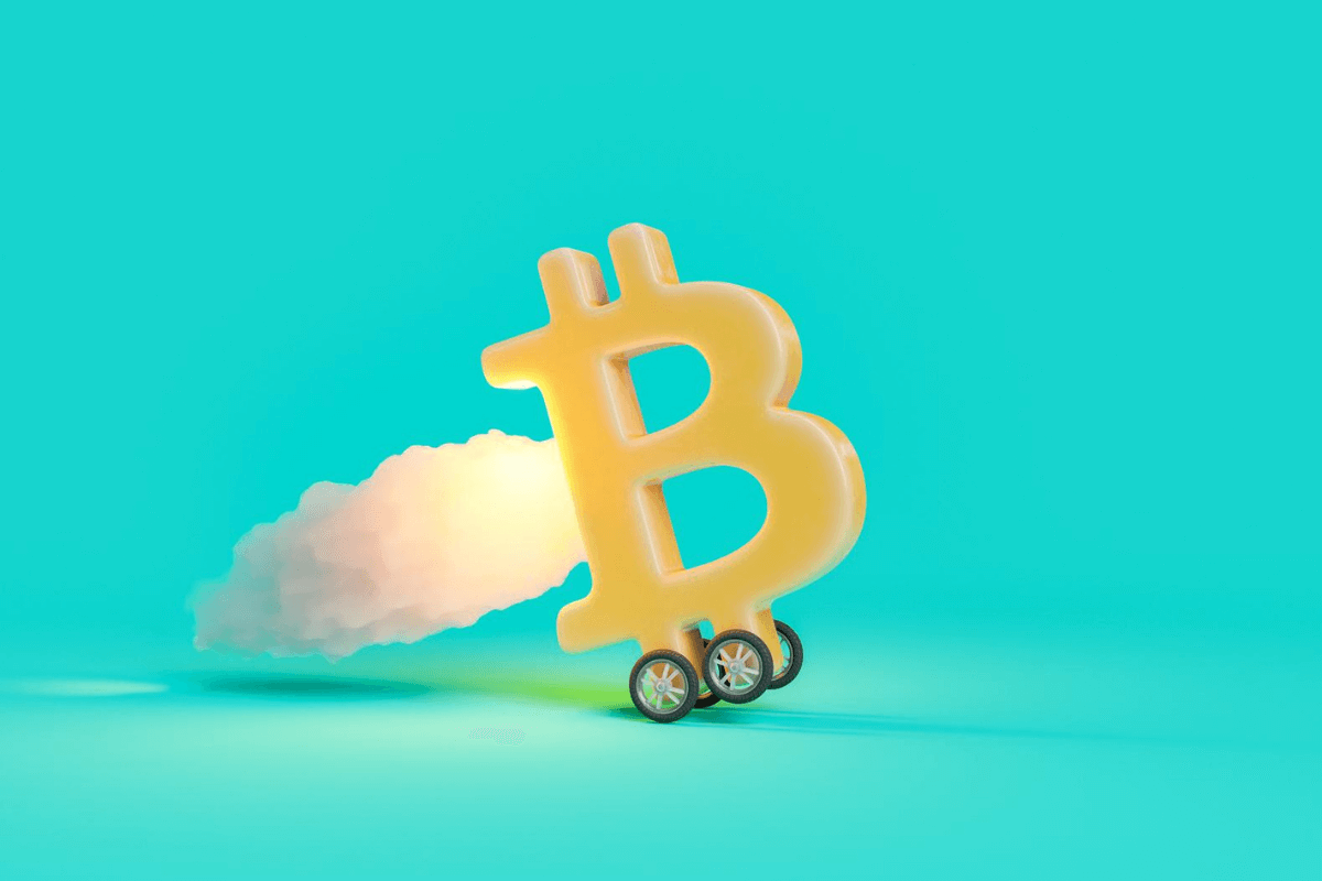 bitcoin investor