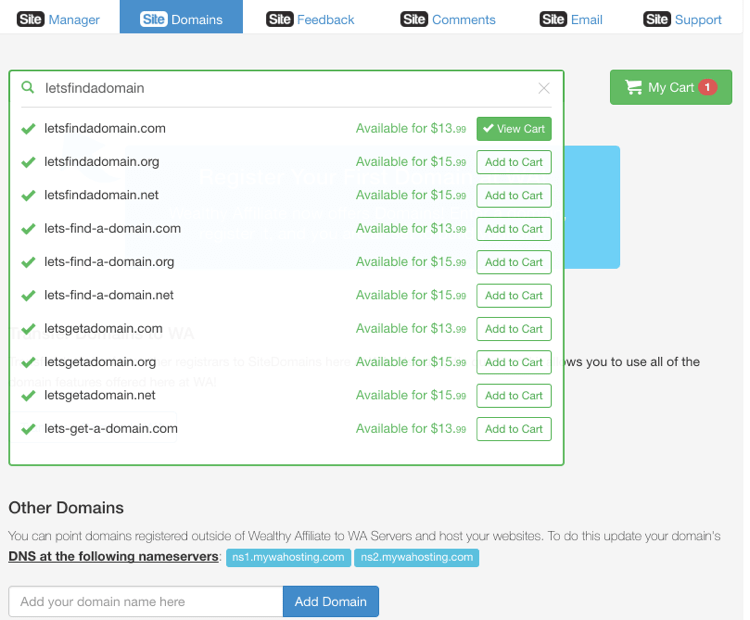 Wealthy Affiliate Site Domains - Step 2