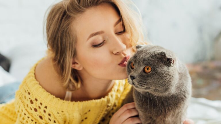 She Refused To Return The Cat To His Ex-Girlfriend