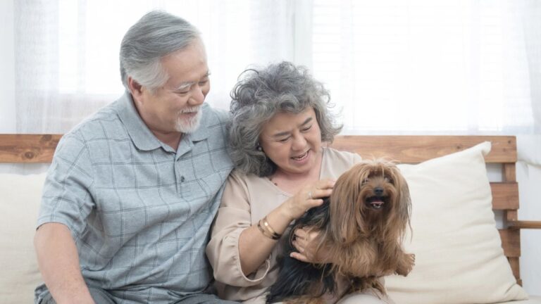 Explore the World on a Budget with House and Pet Sitting