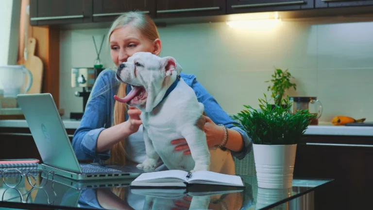 Explore the World on a Budget with House and Pet Sitting